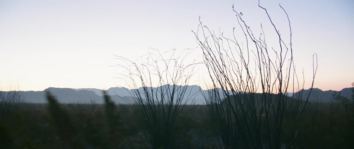 The field is calm at sunrise