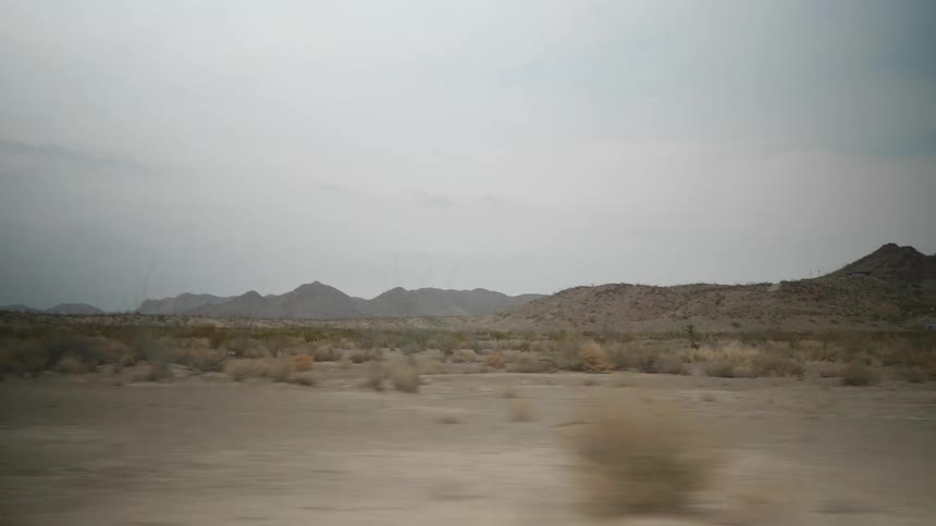 Bushes sit in the desert next to the mountains