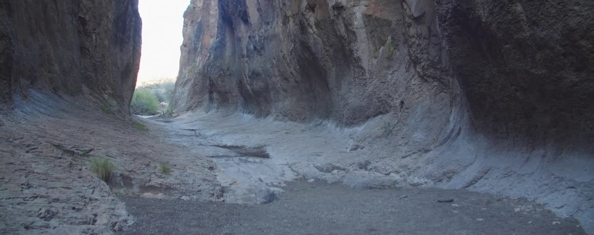 The bottom of a canyon with plants and the sky in the background