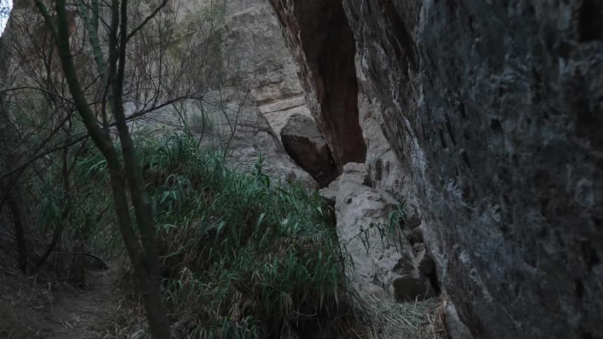 The bottom of a cliff with plants and trees with the sky and clouds in the background