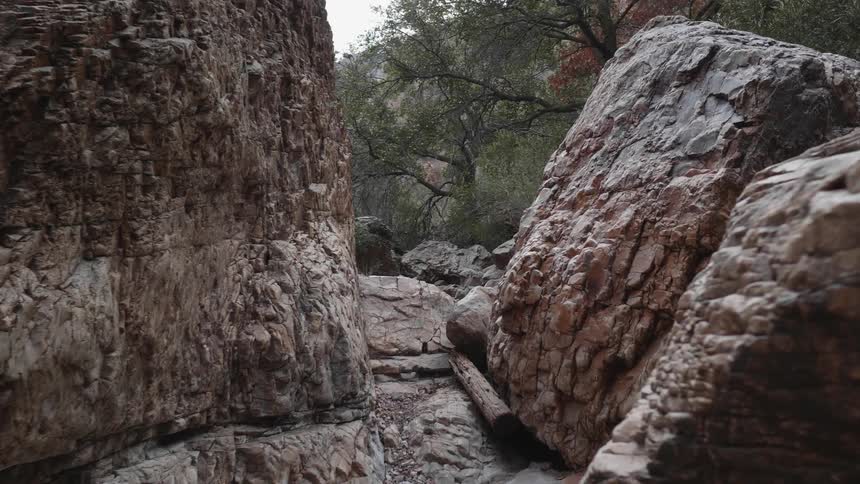 A rock formation in the wilderness