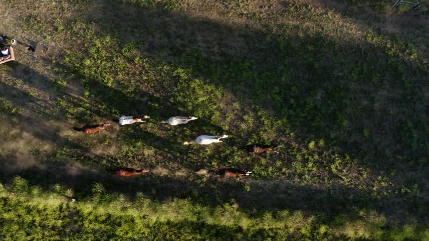 Crew films people sitting on couch in field as herd of horses runs past