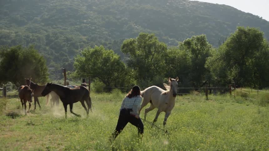 A white horse avoiding another horse and a woman trying to corral it with a whip
