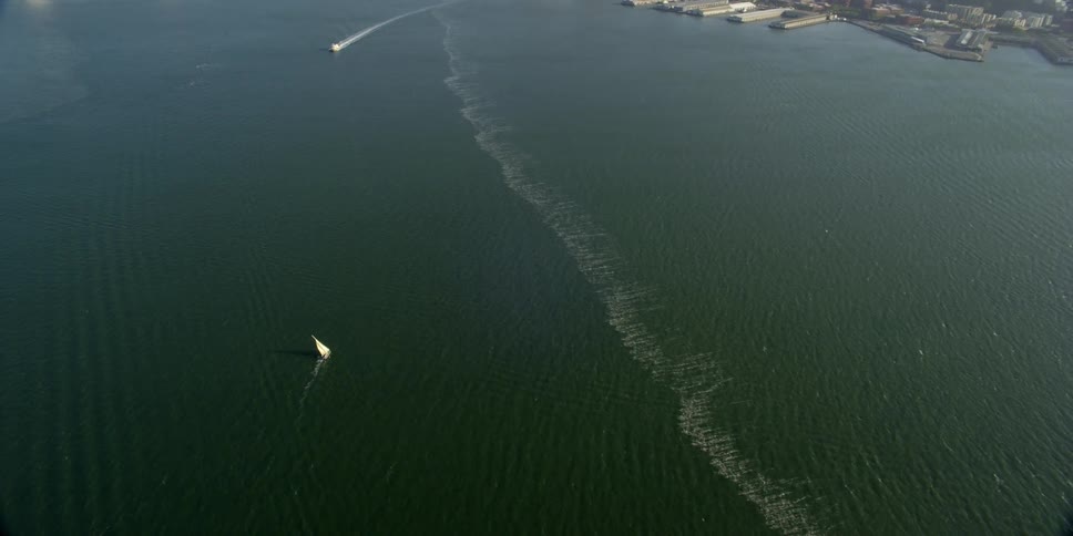 Aerial view of boats in the water with a bridge and city skyline in the background