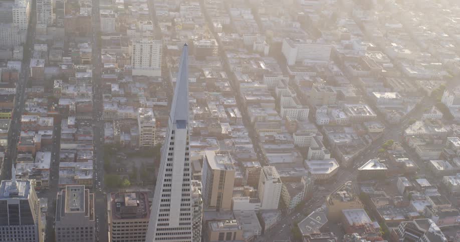 The transamerica pyramid in the financial district of san francisco