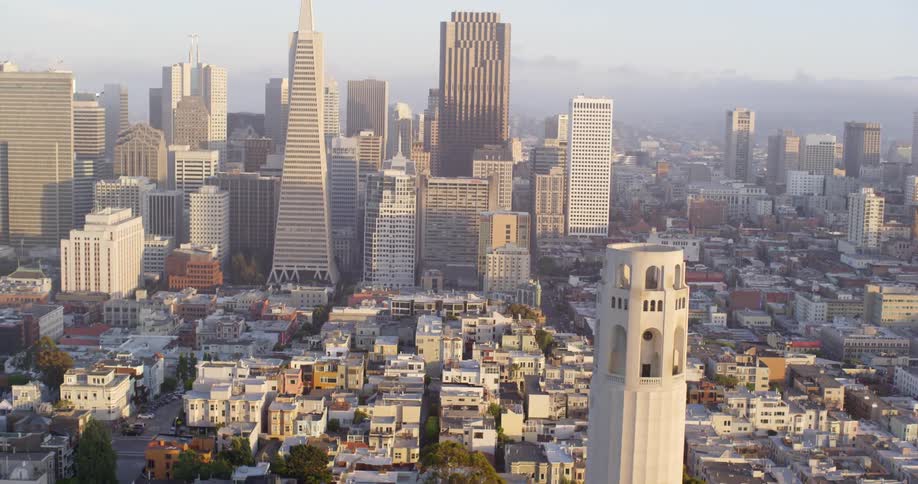 Tall skyscrapers surrounded densely packed houses in a city neighborhood