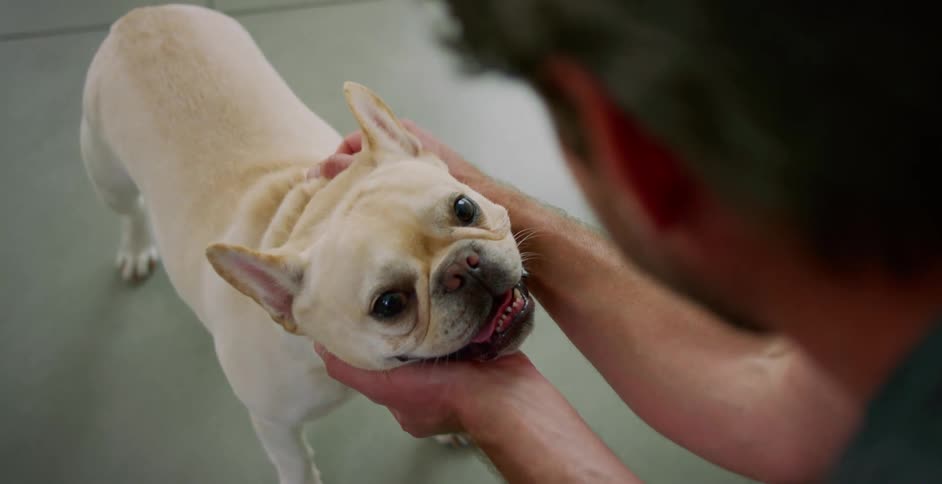 A man is petting his dog