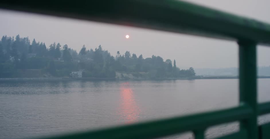A large lake surrounded by evergreen forest in the evening