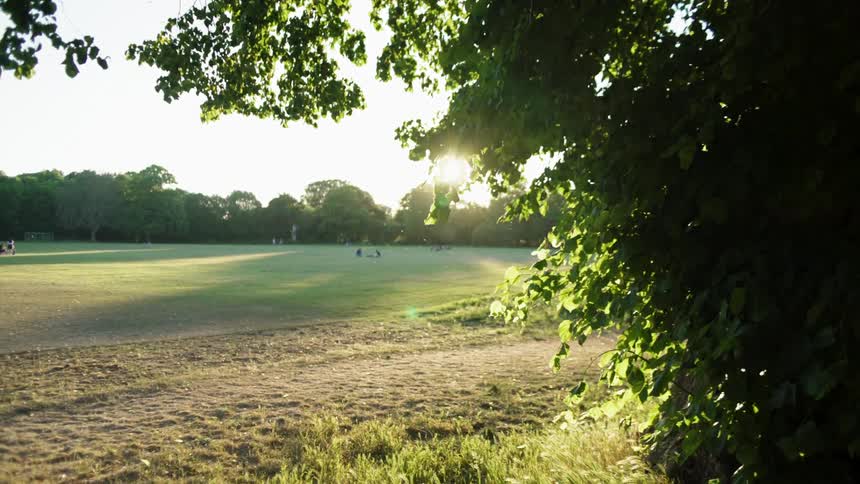 People sit on the grass in a park with birds flying and the breeze blowing green branches