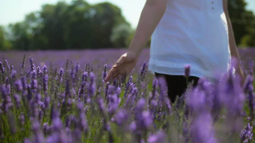 A woman is walking through a flower meadow