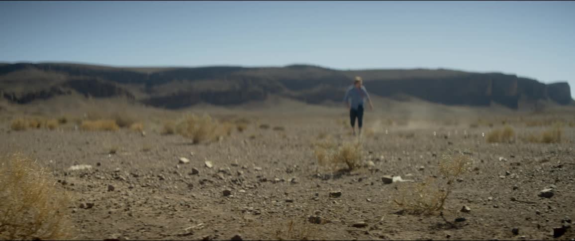 A person walking in the desert with shrubs in the foreground and mountains and the sky in the background