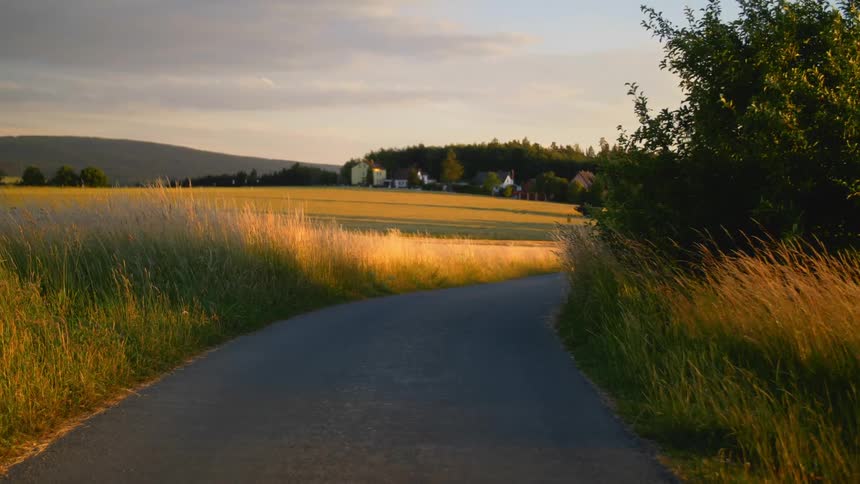Early morning in countryside with small road and tall prairie grasses