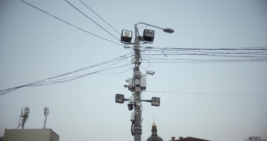 The bird flies over the utility pole