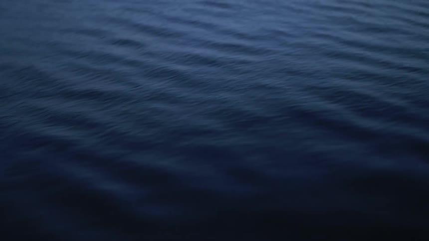 Waves ripple across the surface of a body of water