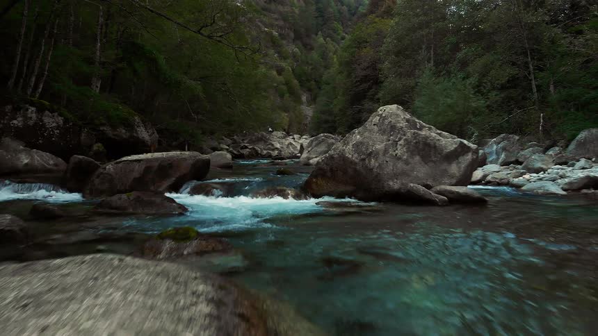 A river filled with rocks and stones running through a forest
