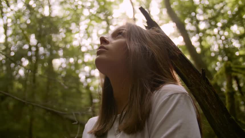 A woman sitting in the woods looking up at the sky surrounded by trees
