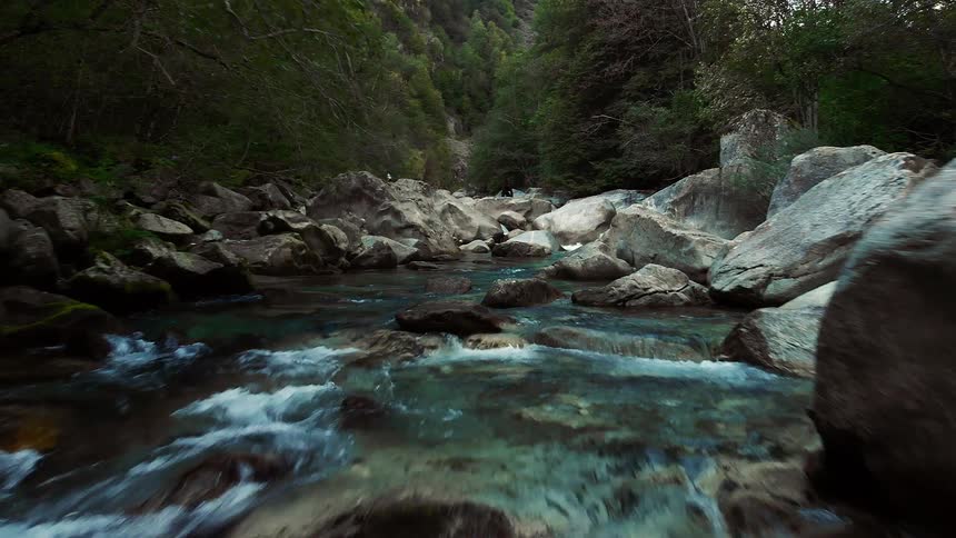 A river filled with rocks and boulders flowing through a forest