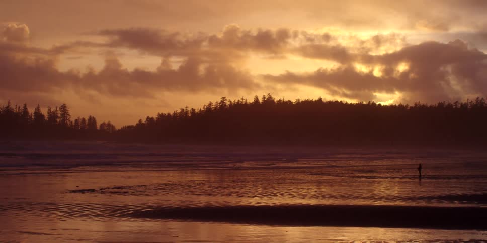 Man watches golden sunset over the pine trees on the coast.
