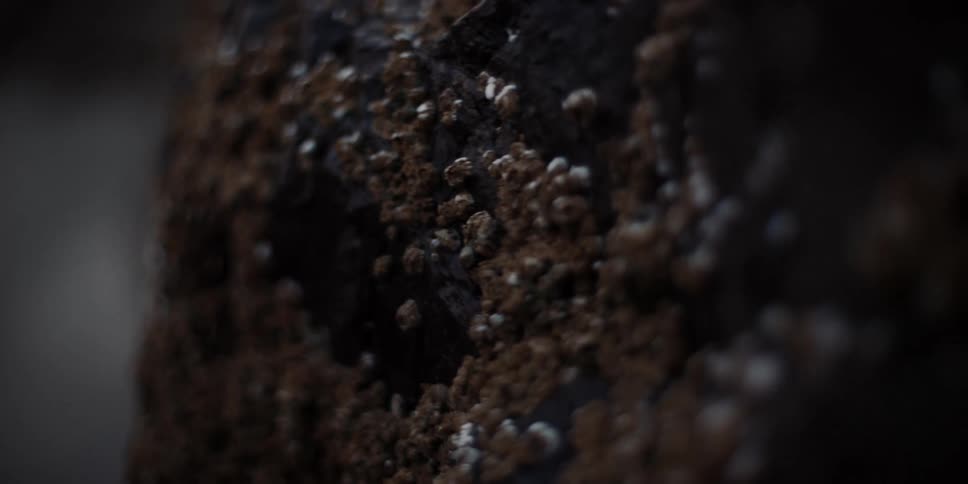 Very close up view of barnacles on rock