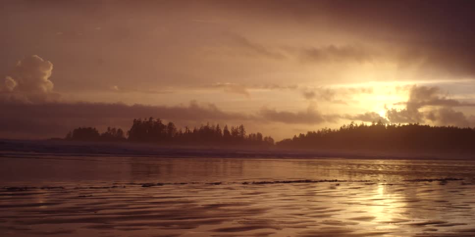 Landscape view of the water and shore