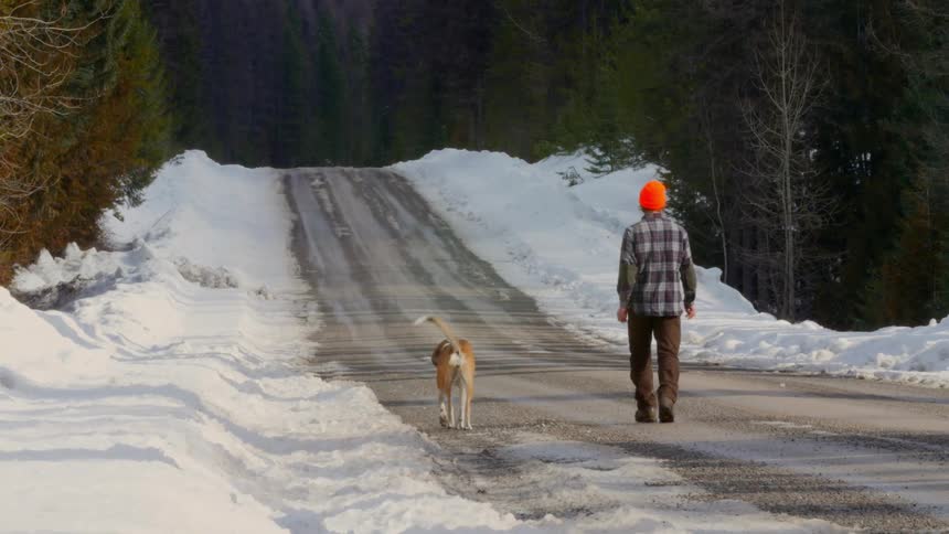 A man and his dog walk down a snow plowed road