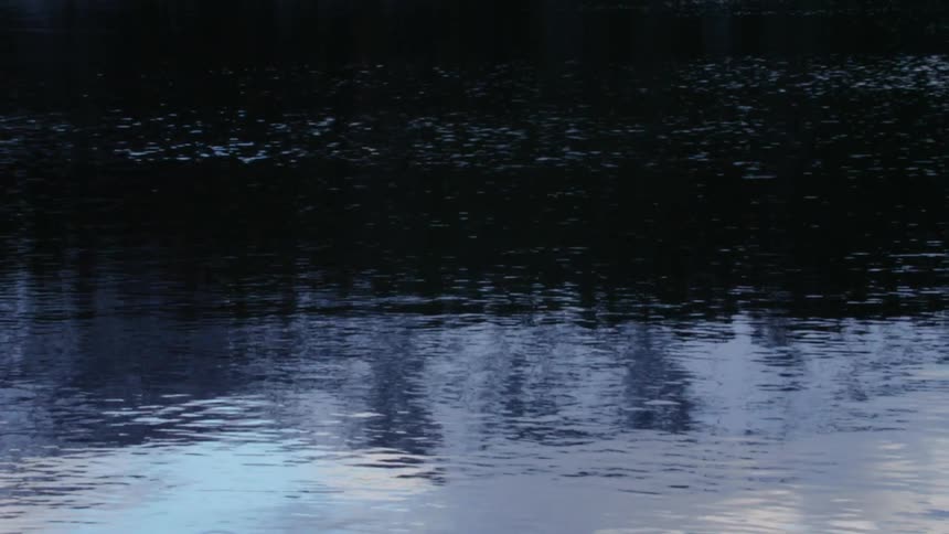 Rippling water in lake in front of pine forest and mountains