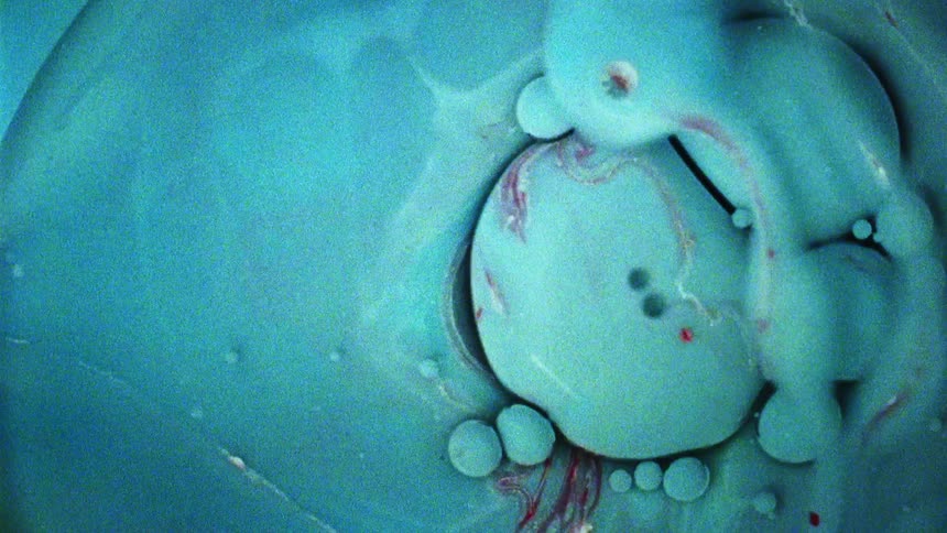 Liquid shapes are displayed on film