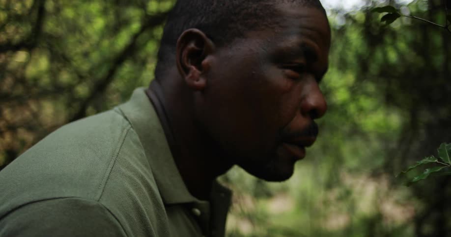 A man slowly hikes through the forest