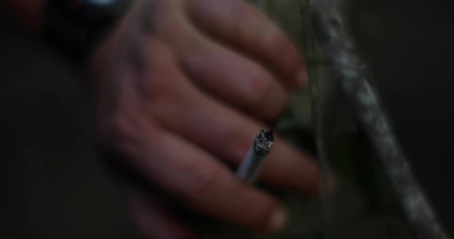 Person holds lit cigarette near twig