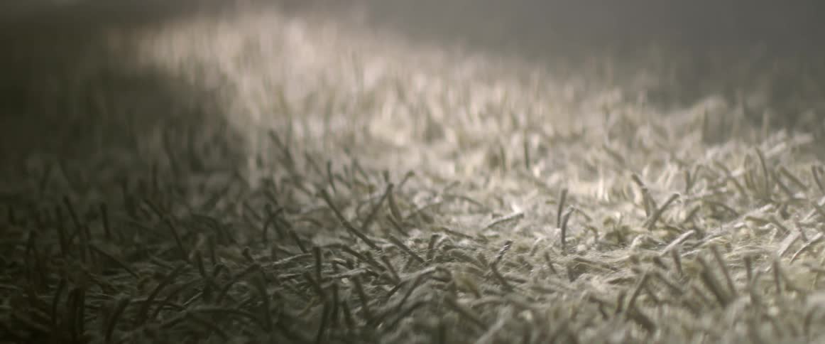 Extreme close up of sunlight over the fibers of a white rug indoors