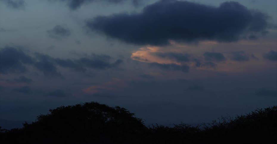 Dark clouds floating over trees silhouetted against the sky