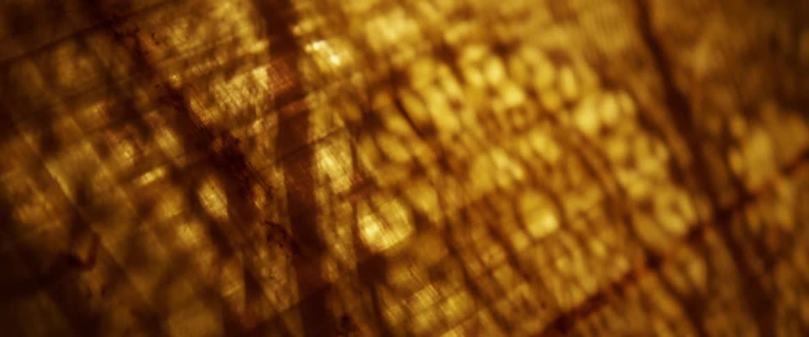 Shadows move across an ornate emblem
