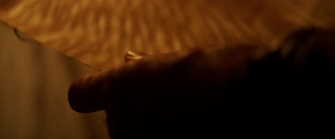 A persons hand holding a piece of paper with light shining off of it