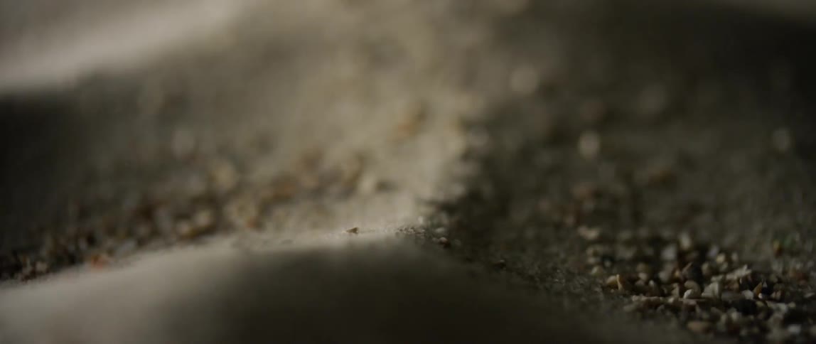 Dust inside a container being shaked by a machine