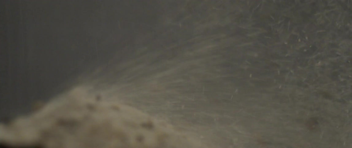 Particles of sand and dust blown by the wind