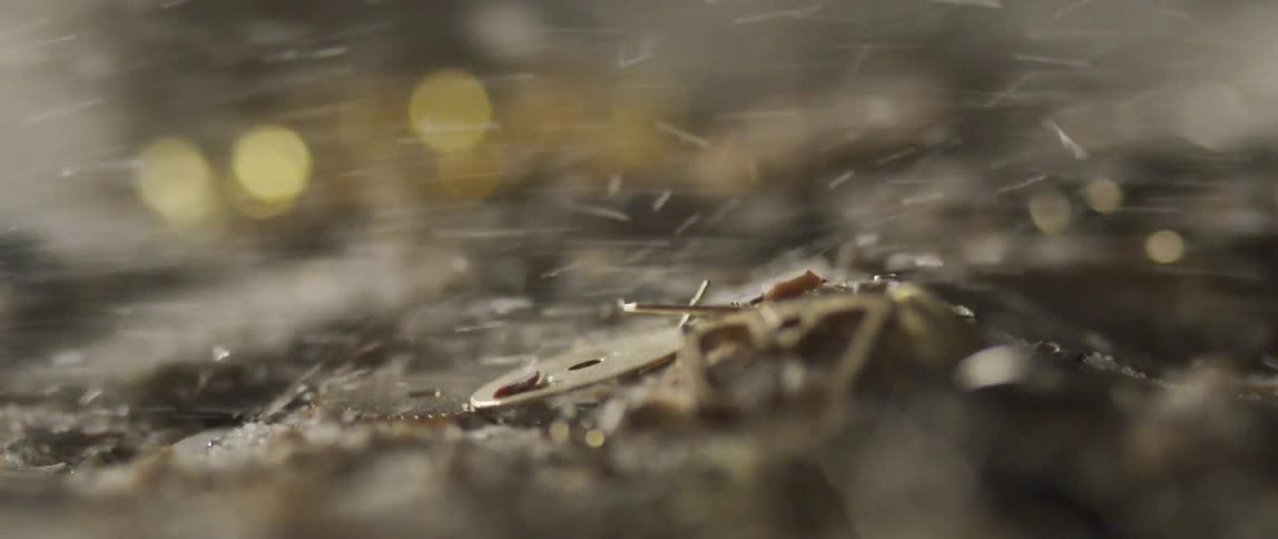 Grains of ice or salt over and hit the broken and taken apart insides of a watch