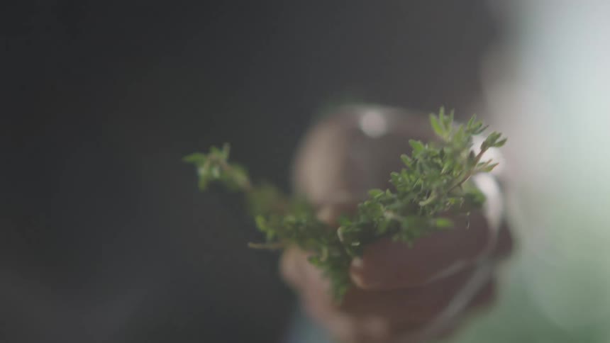 A cook is breaking herbs up and putting it on food