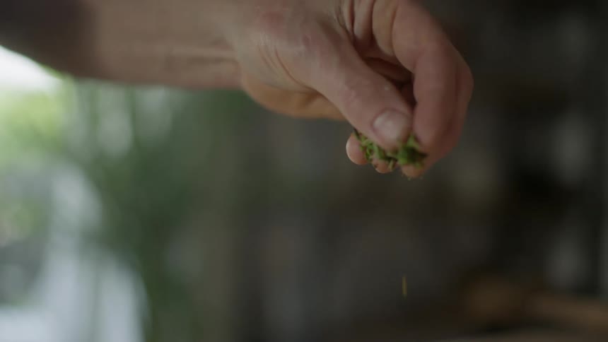 Hand sprinkling fresh herbs while cooking