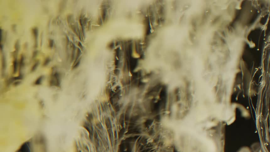 Yellow and white dye sinks and flows in liquid
