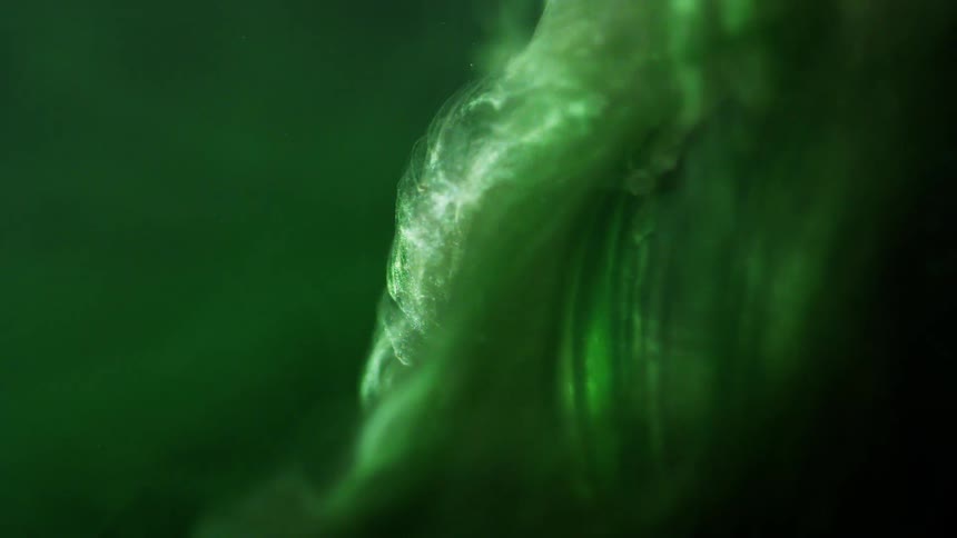 Liquid dye mixing with water