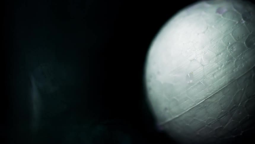 The light reflects off the white globe