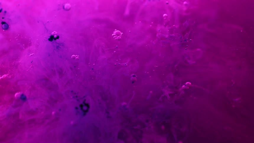 The bubbles rise to the top in the liquid
