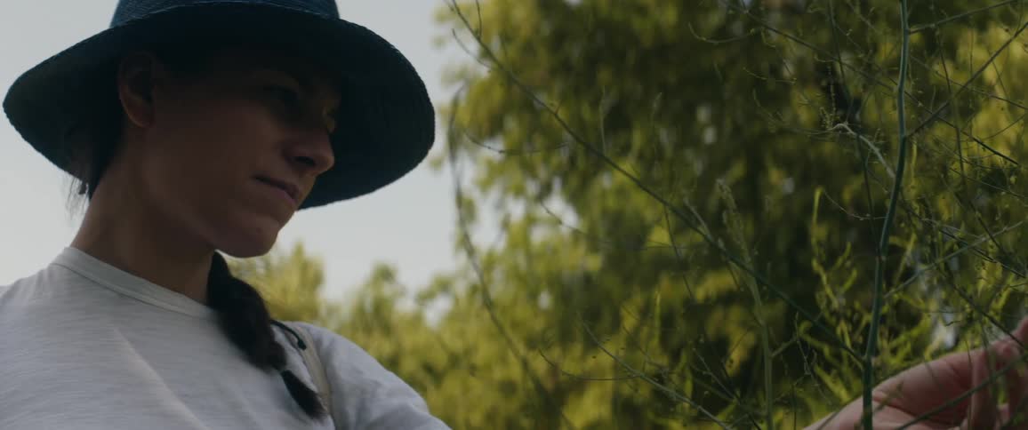 Woman with a t shirt and hat touches wild plants in the woods