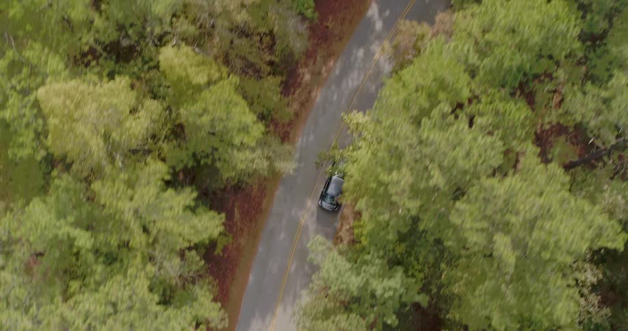 Aerial view of a black car driving on a forest road