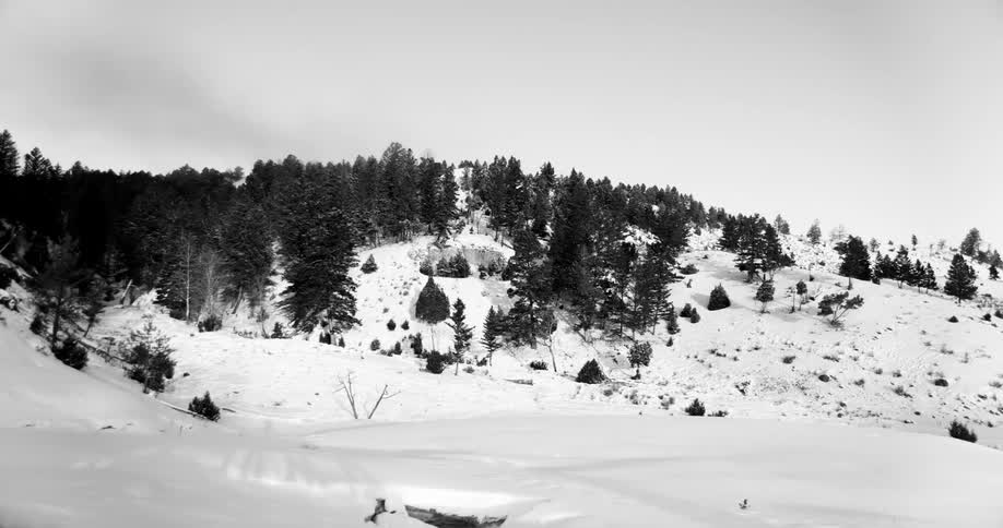 Snowy hills landscape with fir trees under clouds