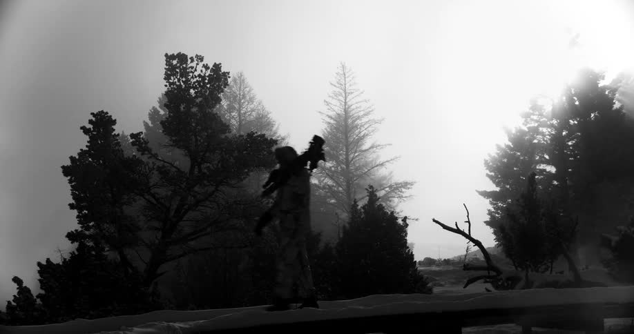 A person walks along a road carrying a small tree limb