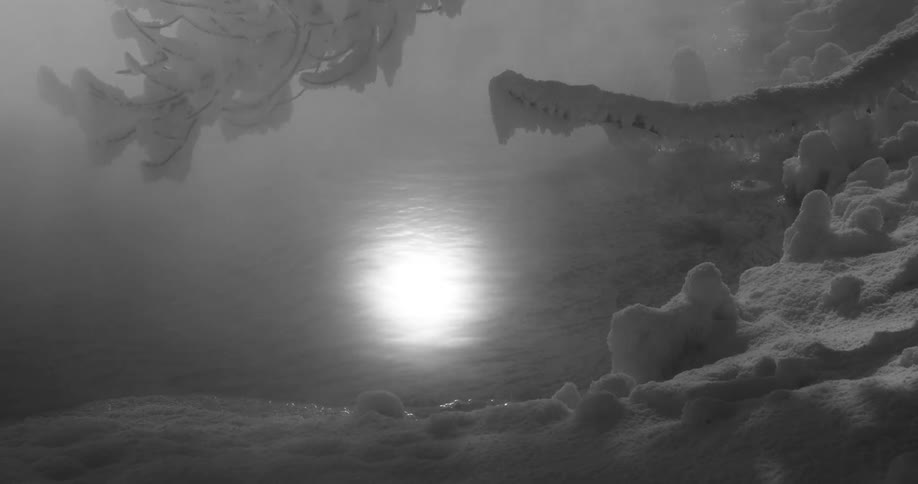 The sun reflecting in the water with snow covered trees on the shore