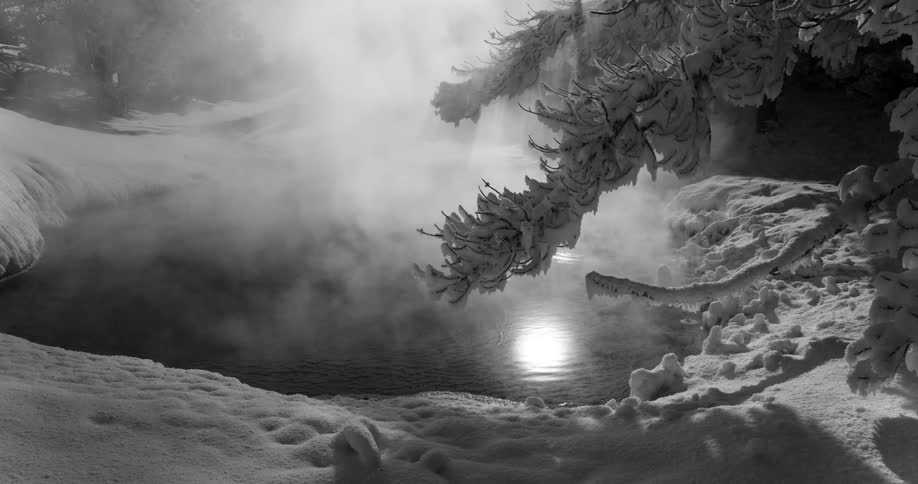 The steam rises from the pool in the forest