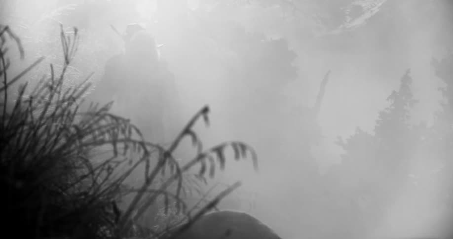A person with a tripod and a camera walking in a smoky woods surrounded by trees