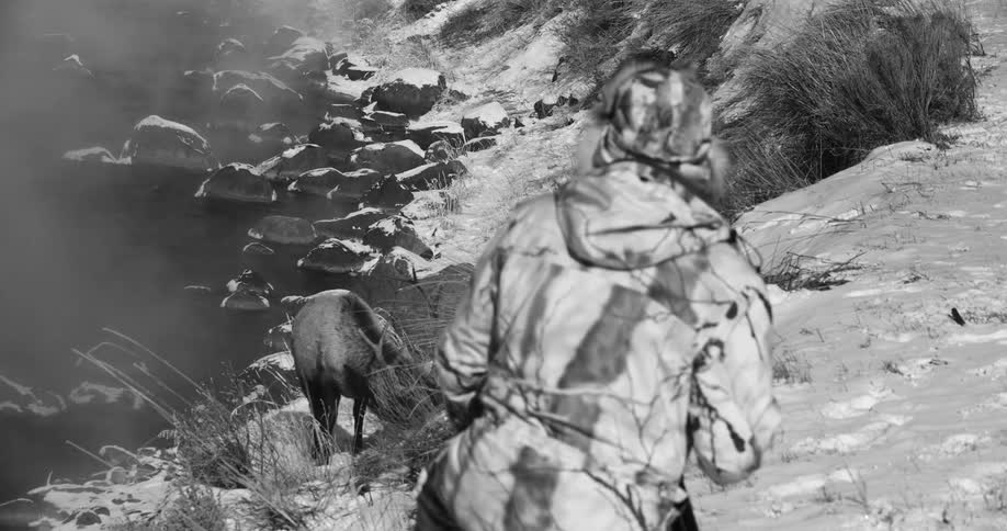 Person wearing camouflage observes elk grazing near water among snow